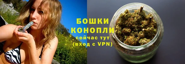 PSILOCYBIN Дмитров