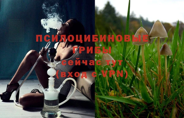 PSILOCYBIN Елизово