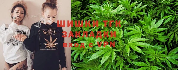 PSILOCYBIN Елизово