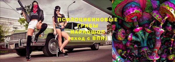 прущая мука Ельня