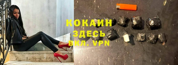 шишки Тихвин